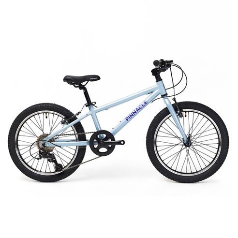 Pinnacle - Ash 20 Inch Bike Junior