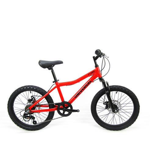 Universal - Flare 20 Kids Mountain Bike
