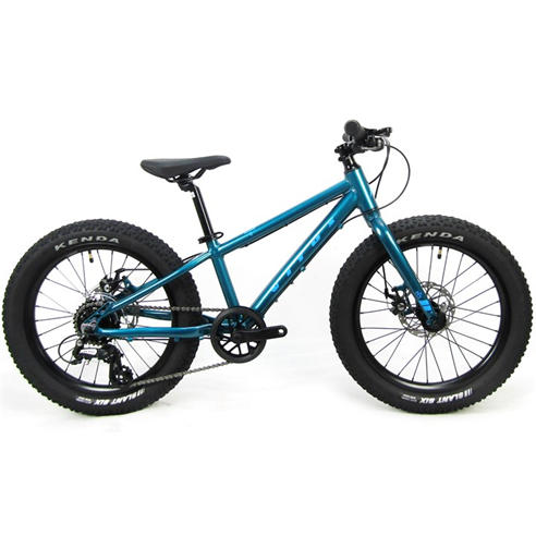 Vitus - 20+ Kids Bike